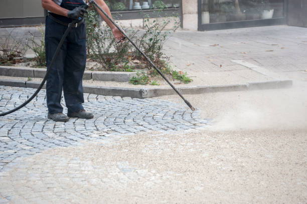 Best Animal Enclosure Cleaning  in Dripping Springs, TX