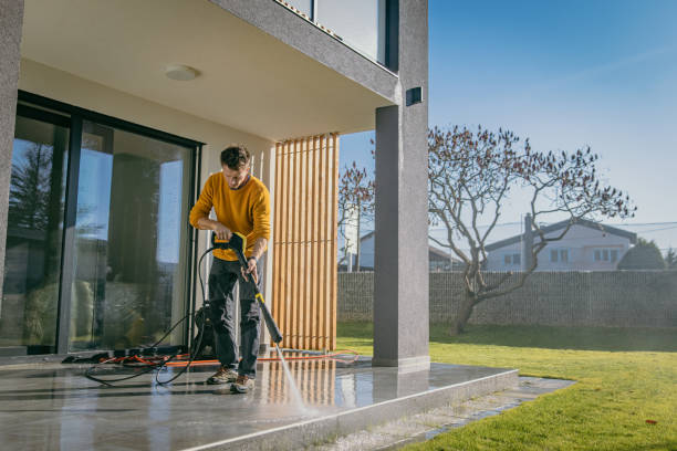 Best Driveway Pressure Washing  in Dripping Springs, TX