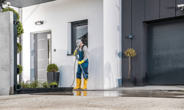 Best Gutter Cleaning  in Dripping Springs, TX